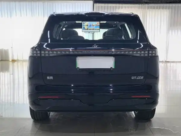 Dongfeng e008 2024