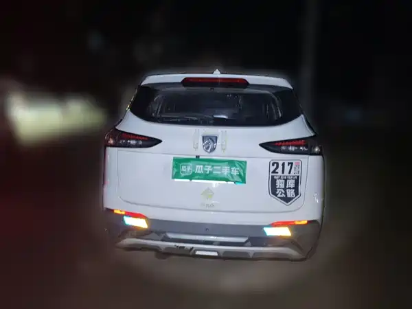 Baojun 510 2019