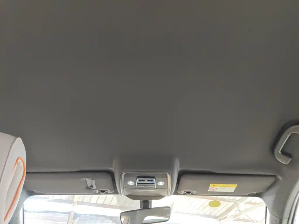 BYD Song Pro New Energy 2024 — фото 18