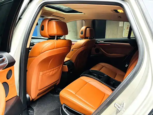 BMW X6 2010