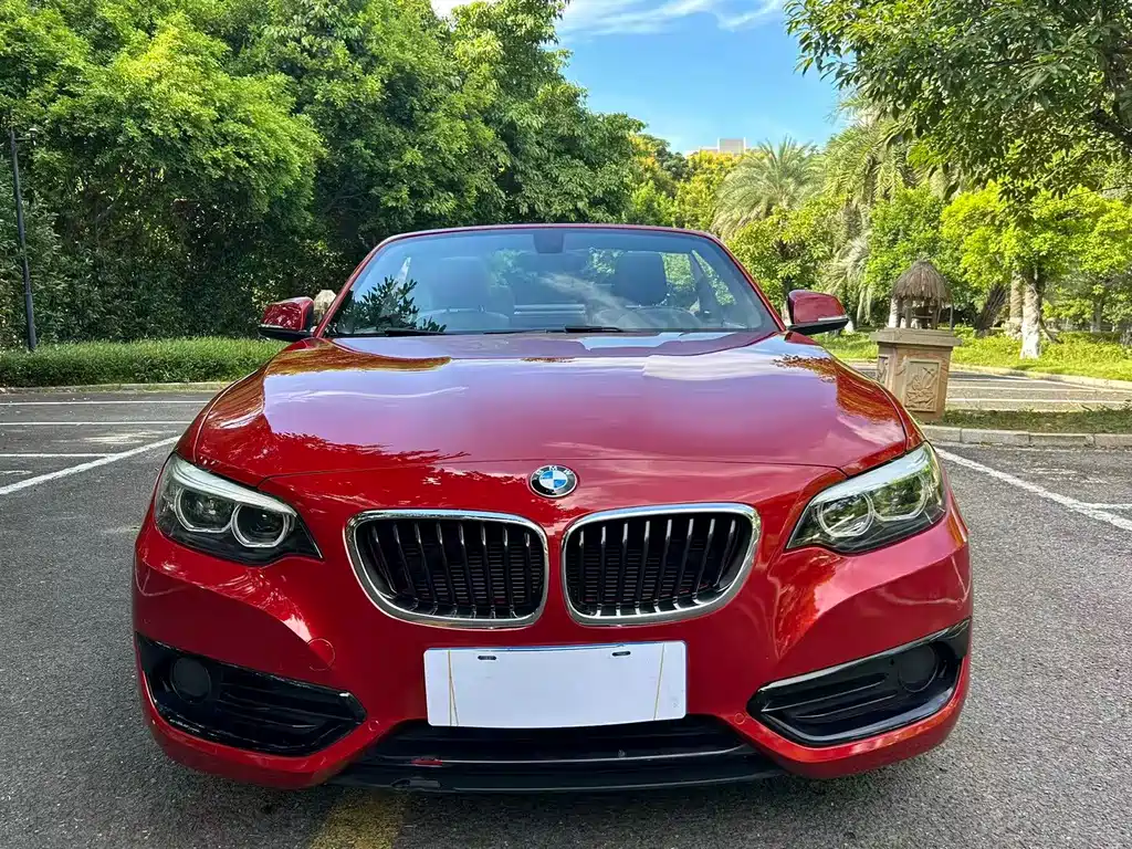BMW 2 Series 2019 — фото 2