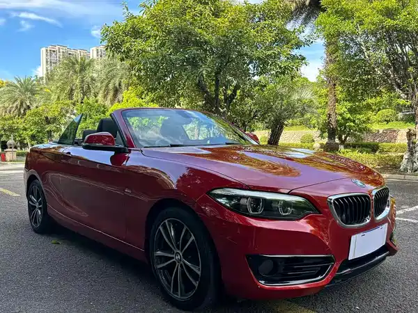 BMW 2 Series 2019