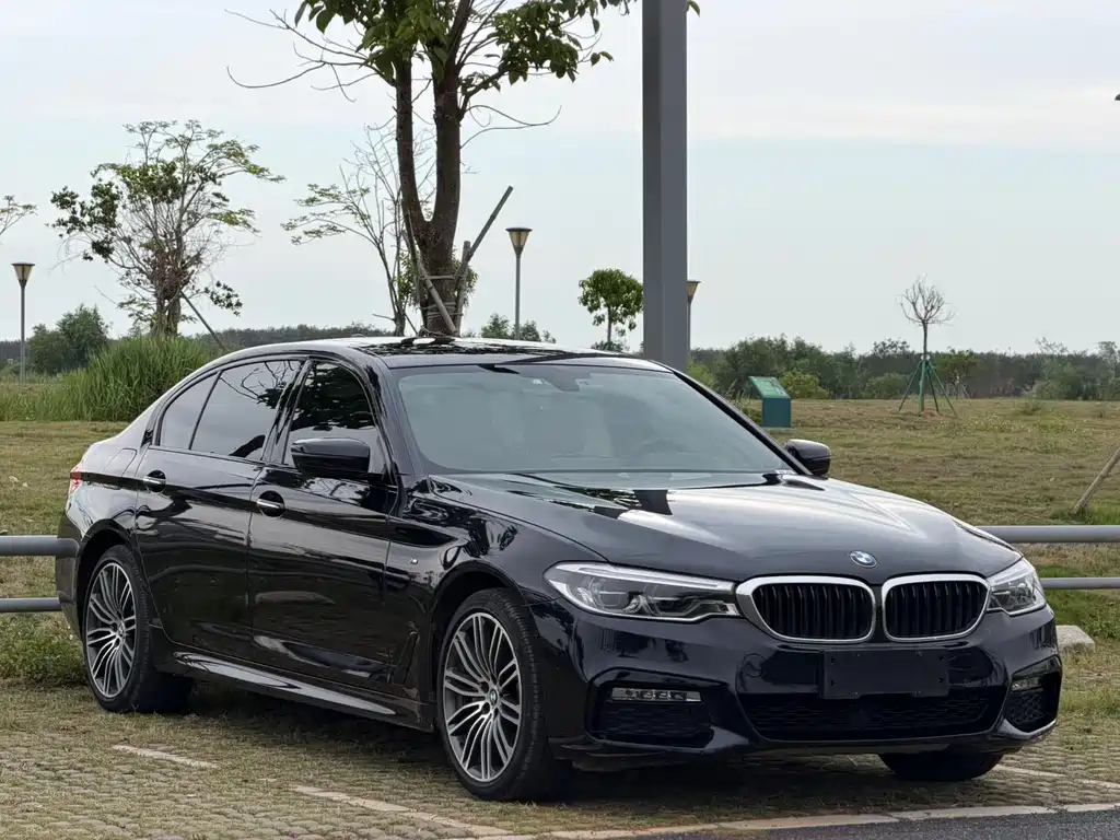 BMW 5 Series 2018 — фото 3