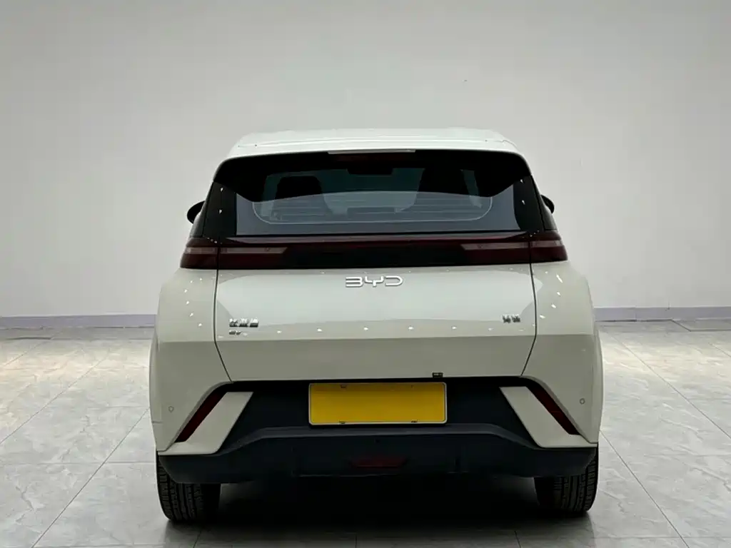BYD Seagull 2024