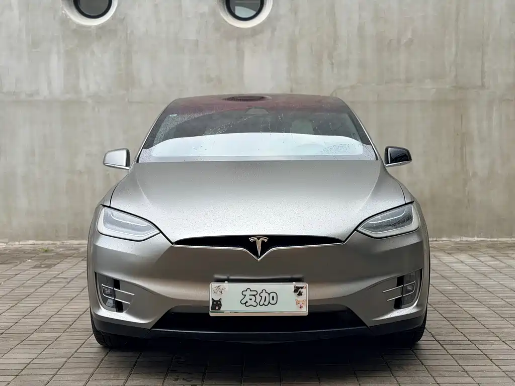 Tesla Model X 2019 — фото 2