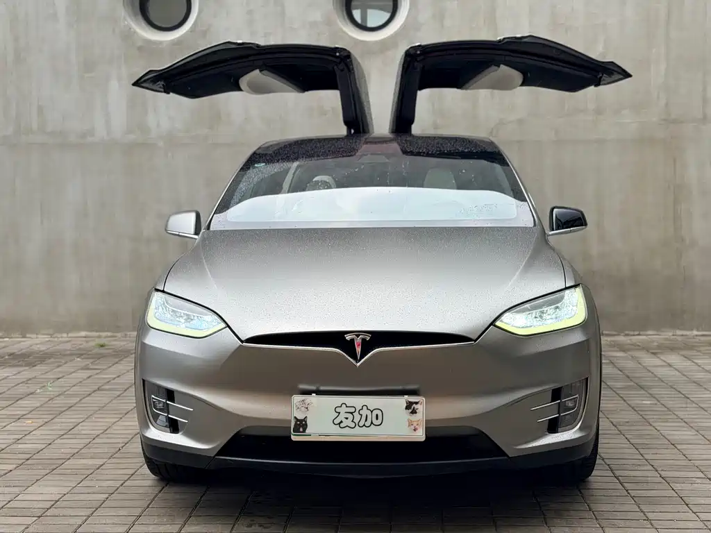 Tesla Model X 2019 — фото 6