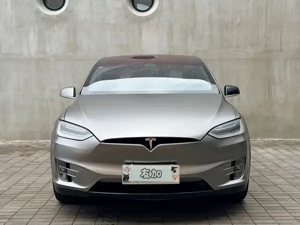 Tesla Model X 2019