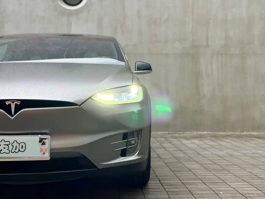 Tesla Model X 2019 — фото 4