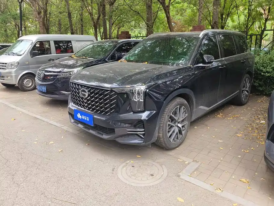 GAC Trumpchi GS8 2024