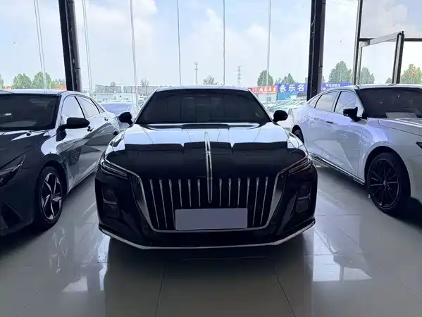 Hongqi H5 2024
