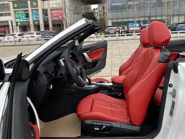 BMW 2 Series 2018