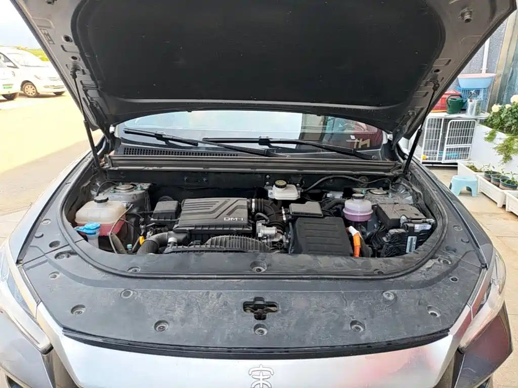 BYD Pro New Energy 2024 — фото 20