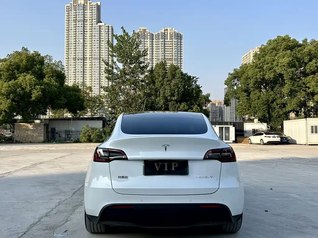 Tesla Model Y 2024 — фото 9