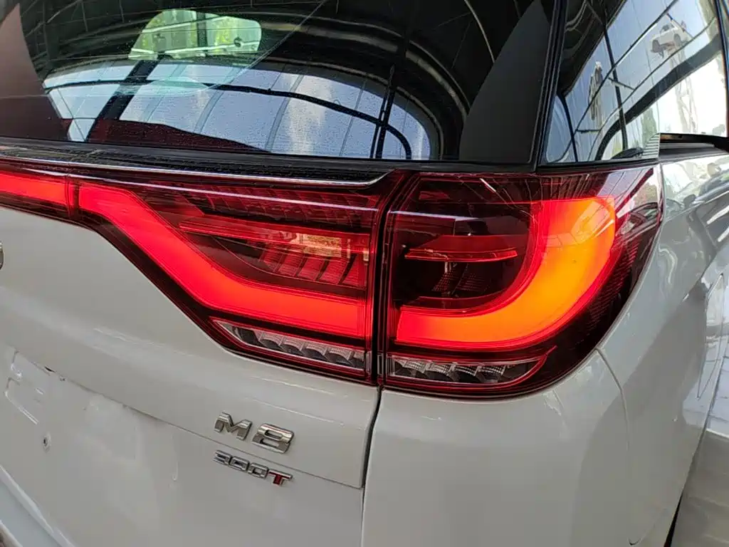 GAC Trumpchi M8 2023 — фото 8