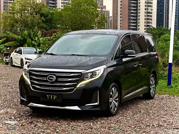 GAC Trumpchi M8 2020