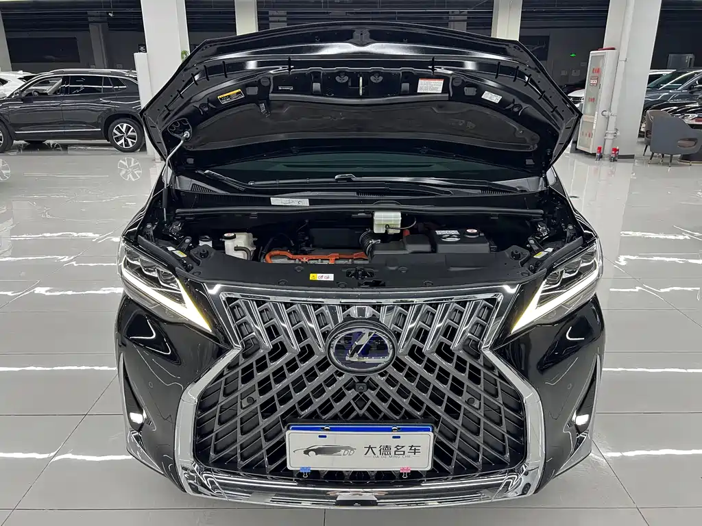 Lexus LM 2021 — фото 26