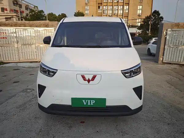 Wuling Yangguang 2024