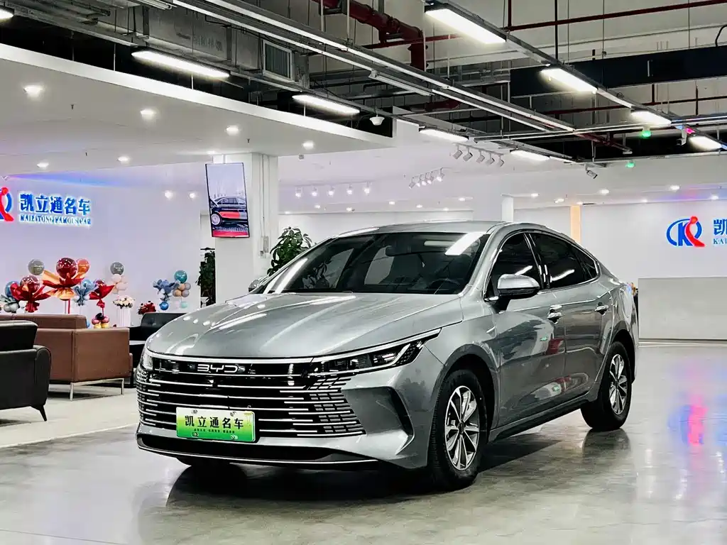 BYD Destroyer 05 2025 — фото 1