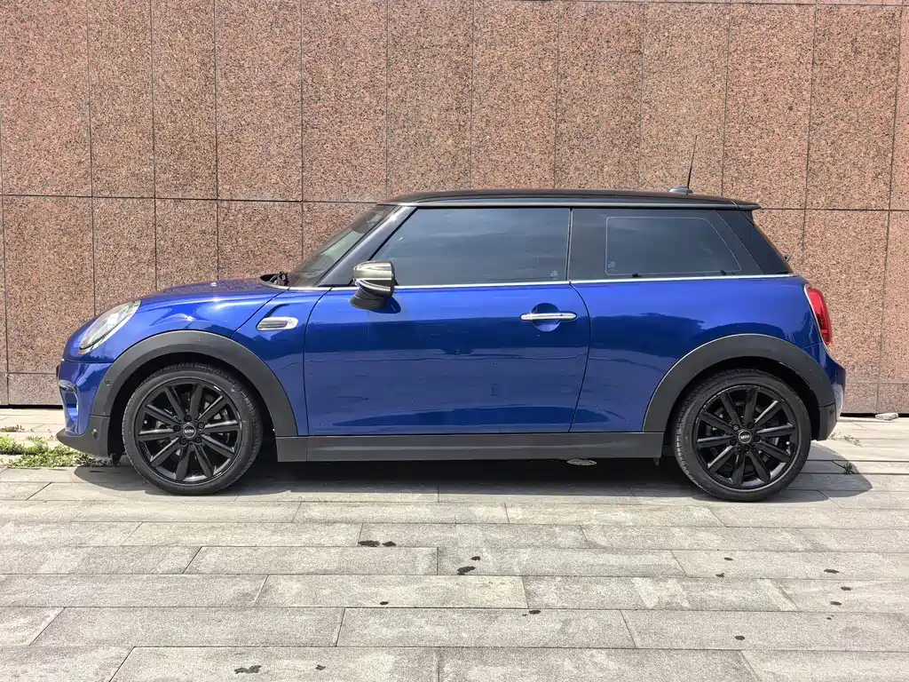 MINI MINI 2020