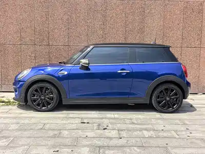 MINI MINI 2020