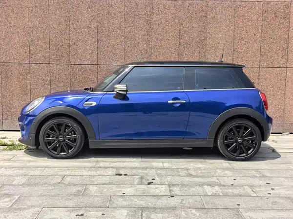 MINI MINI 2020