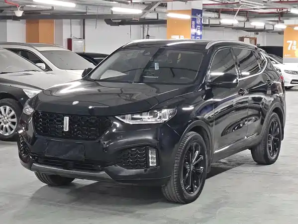 Wey VV6 2019