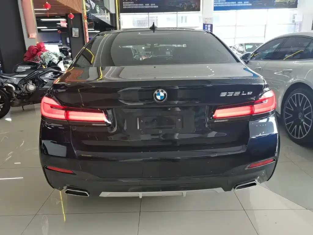 BMW 5 Series New Energy 2021