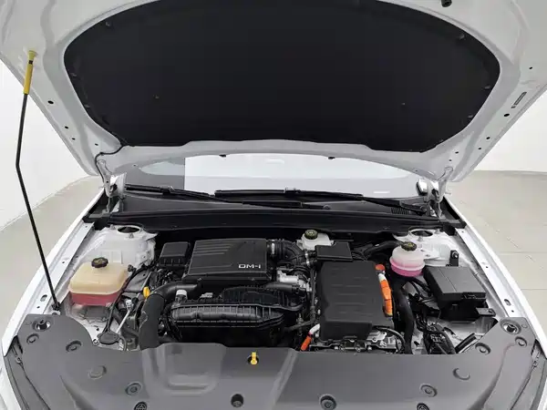BYD Qin PLUS 2023