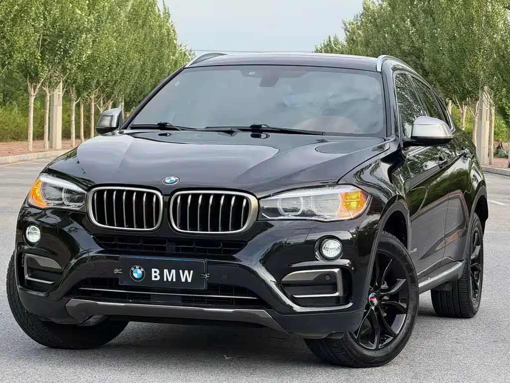 BMW X6 2017 — фото 1