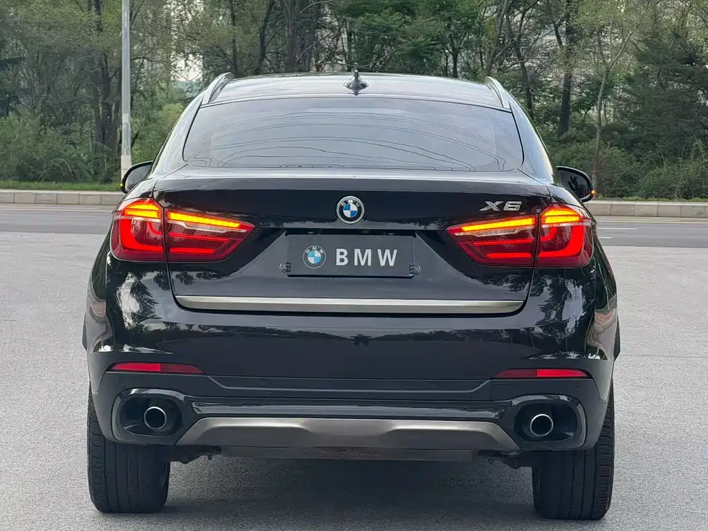 BMW X6 2017 — фото 4