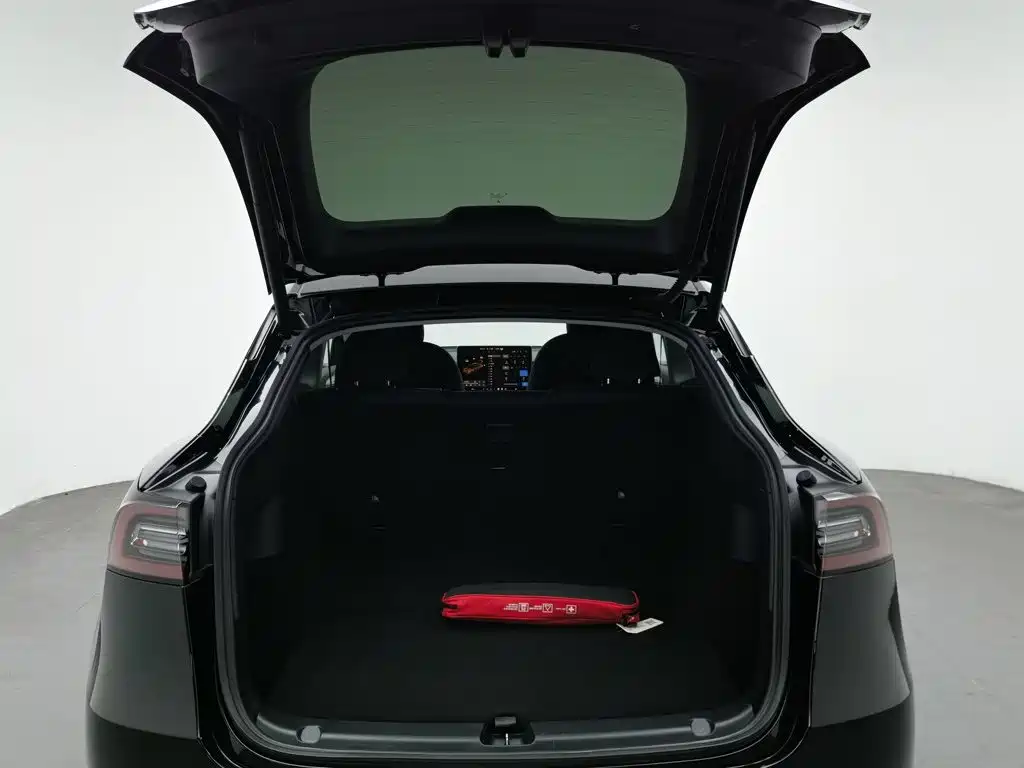 Tesla Model Y 2021 — фото 16