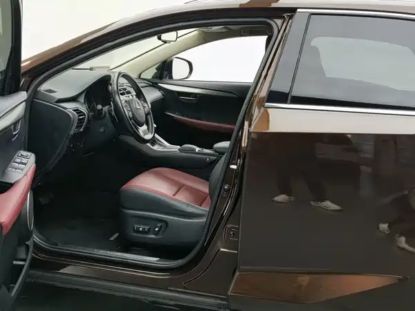 Lexus NX 2019