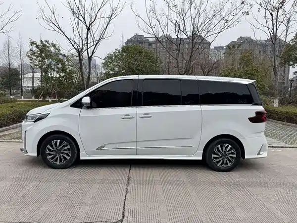 Maxus G20 2021