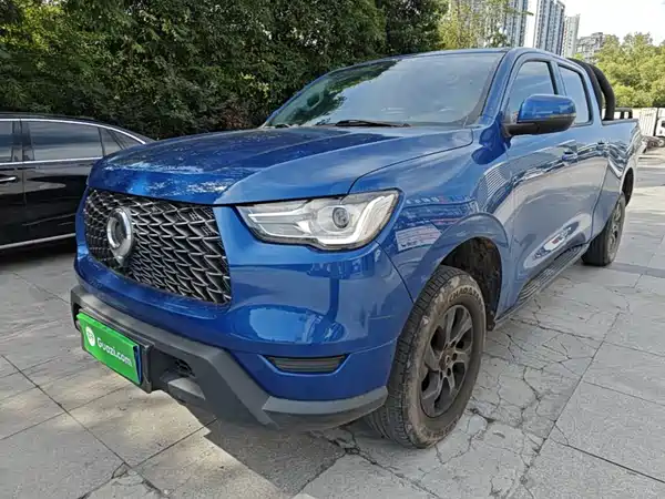 Great Wall Poer 2023