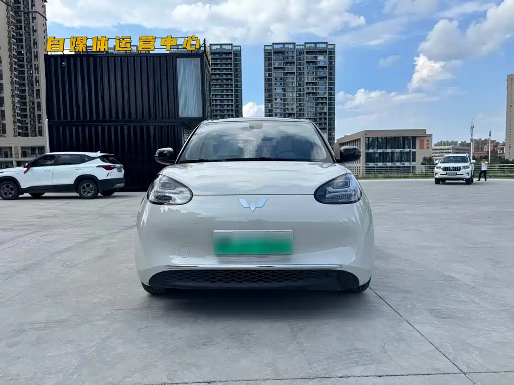 Wuling Bingo 2024