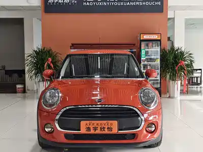 MINI MINI 2018