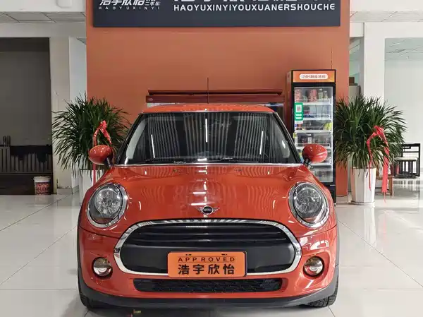 MINI MINI 2018