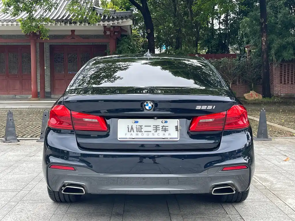 BMW 5 Series 2019 — фото 19