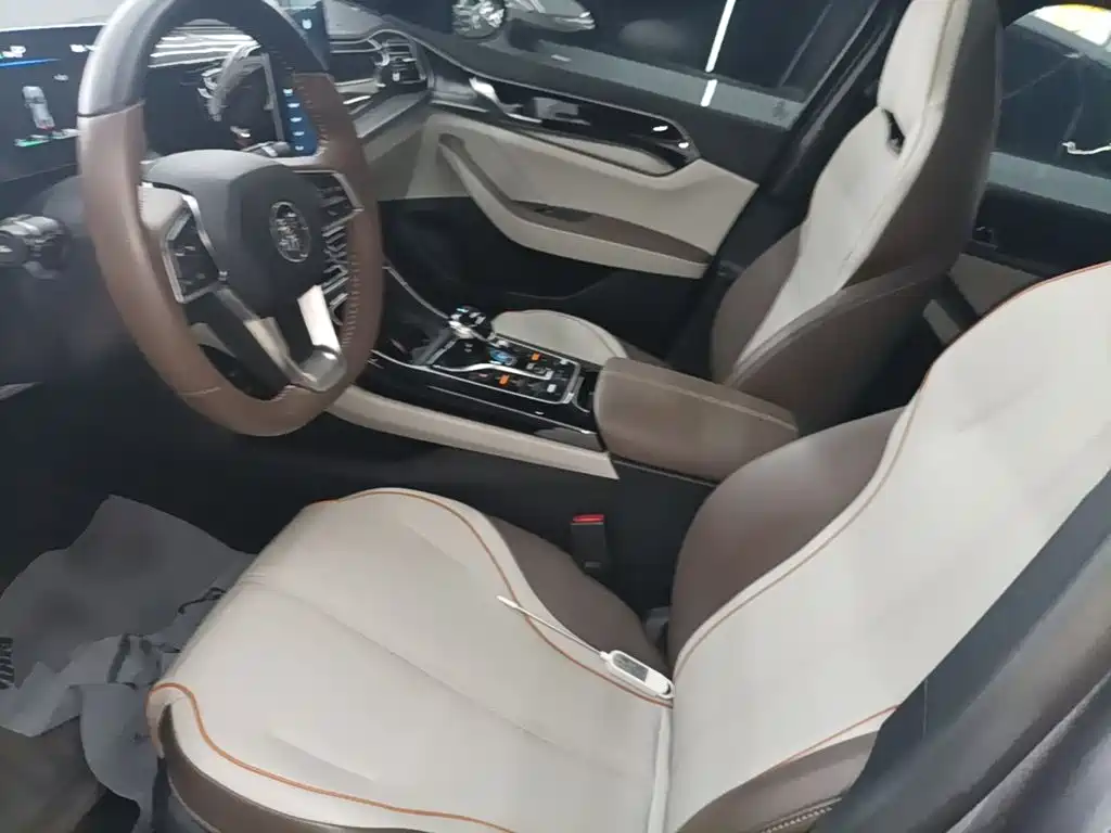 BYD Qin PLUS 2024 — фото 15
