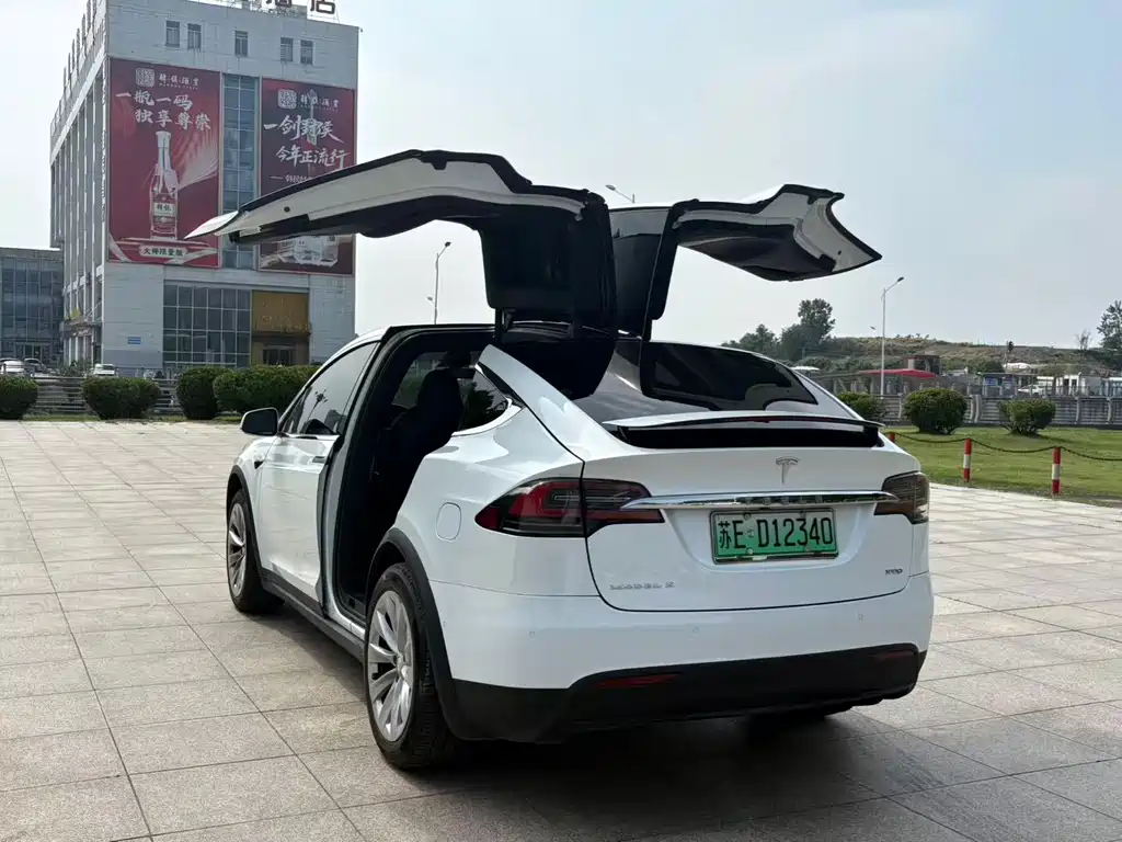 Tesla Model X 2019 — фото 9