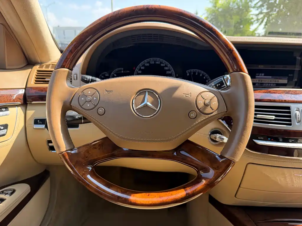 Mercedes-Benz S-Class 2010 — фото 23