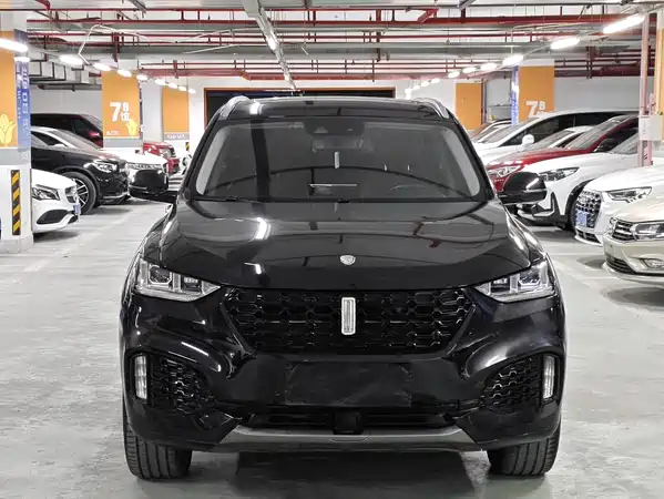 Wey VV6 2019