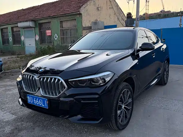 BMW X6 2022