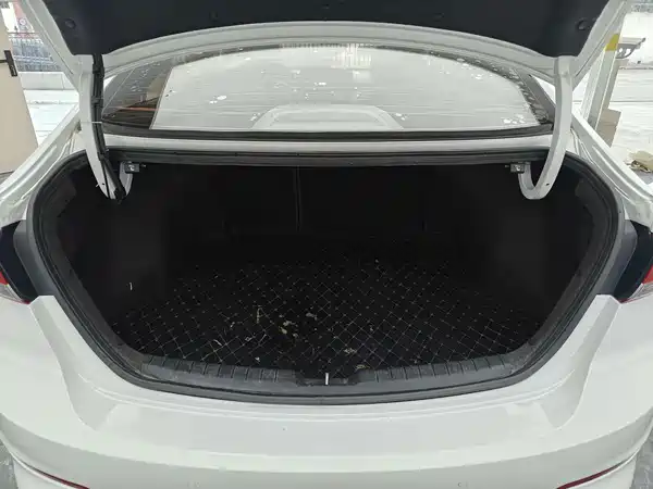 Hyundai Celesta 2019