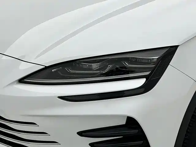 BYD PLUS New Energy 2023 — фото 13