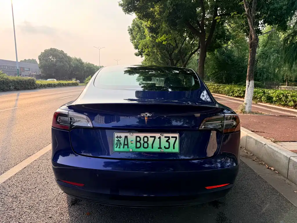 Tesla Model 3 2020 — фото 16