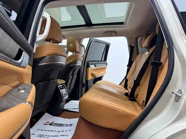 Tank 500 New Energy 2024