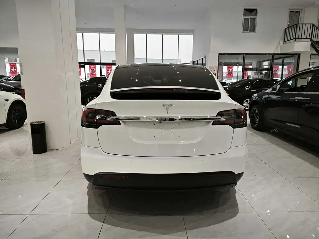 Tesla Model X 2020 — фото 5
