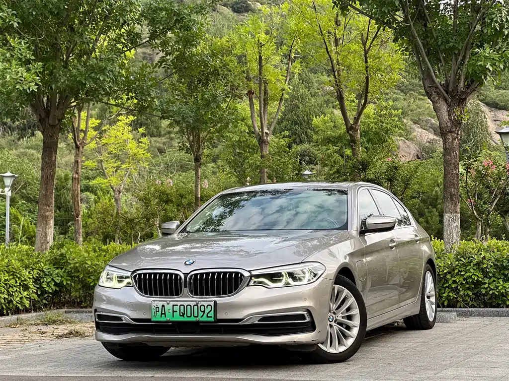 BMW 5 Series New Energy 2020