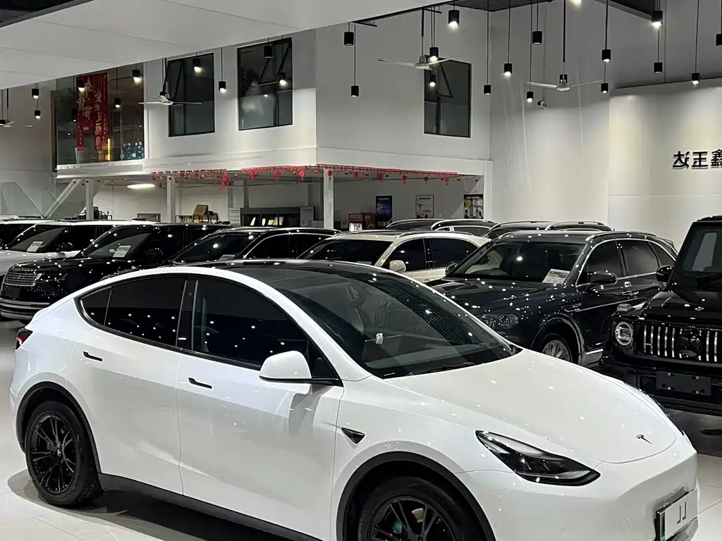 Tesla Model Y 2021 — фото 2